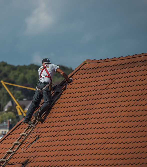 Atlanta Roof Cleaning 