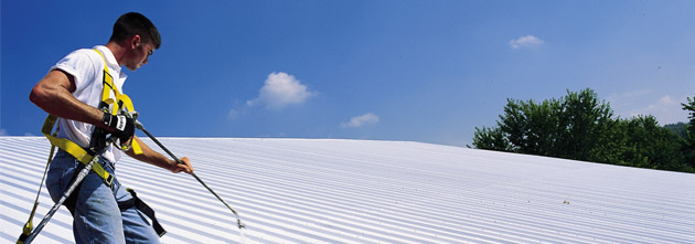 Roof Coating